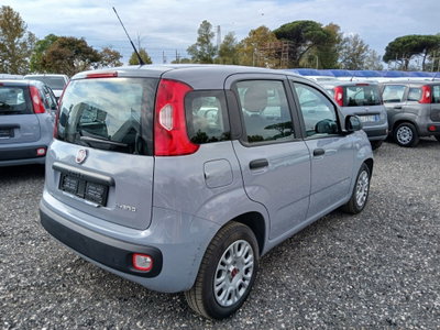 Fiat Panda 1.0 FireFly S&S Hybrid City Cross (4)