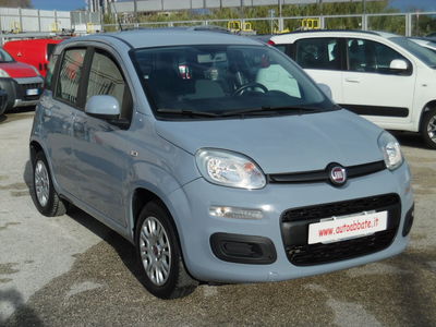 Fiat Panda 1.2 Easy usata