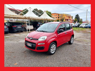Fiat Panda 0.9 TwinAir Turbo S&S Easy usata