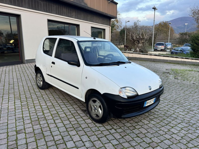 Fiat Seicento 900i cat Young