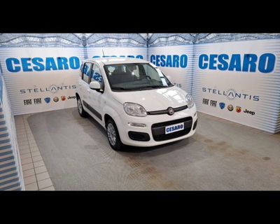 Fiat Panda 1.2 Easy usata