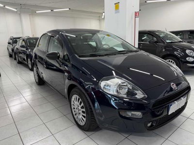 Fiat Punto 1.3 MJT II S&S 95 CV 5 porte Street usata