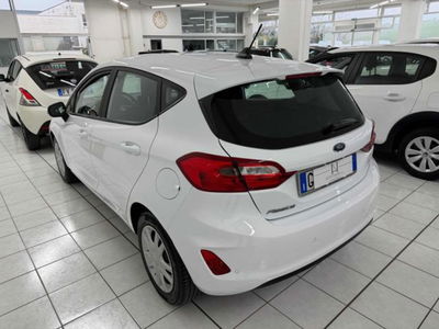 Ford Fiesta 1.5 EcoBlue 5 porte Business High usata