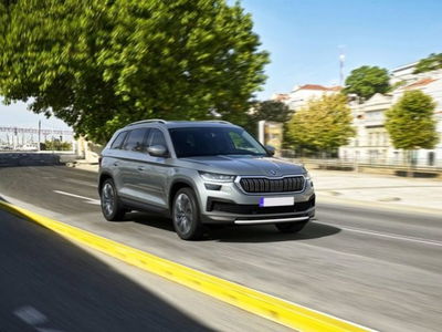 Skoda Kodiaq 2.0 TDI EVO SCR 4x4 DSG 7 posti Executive usata