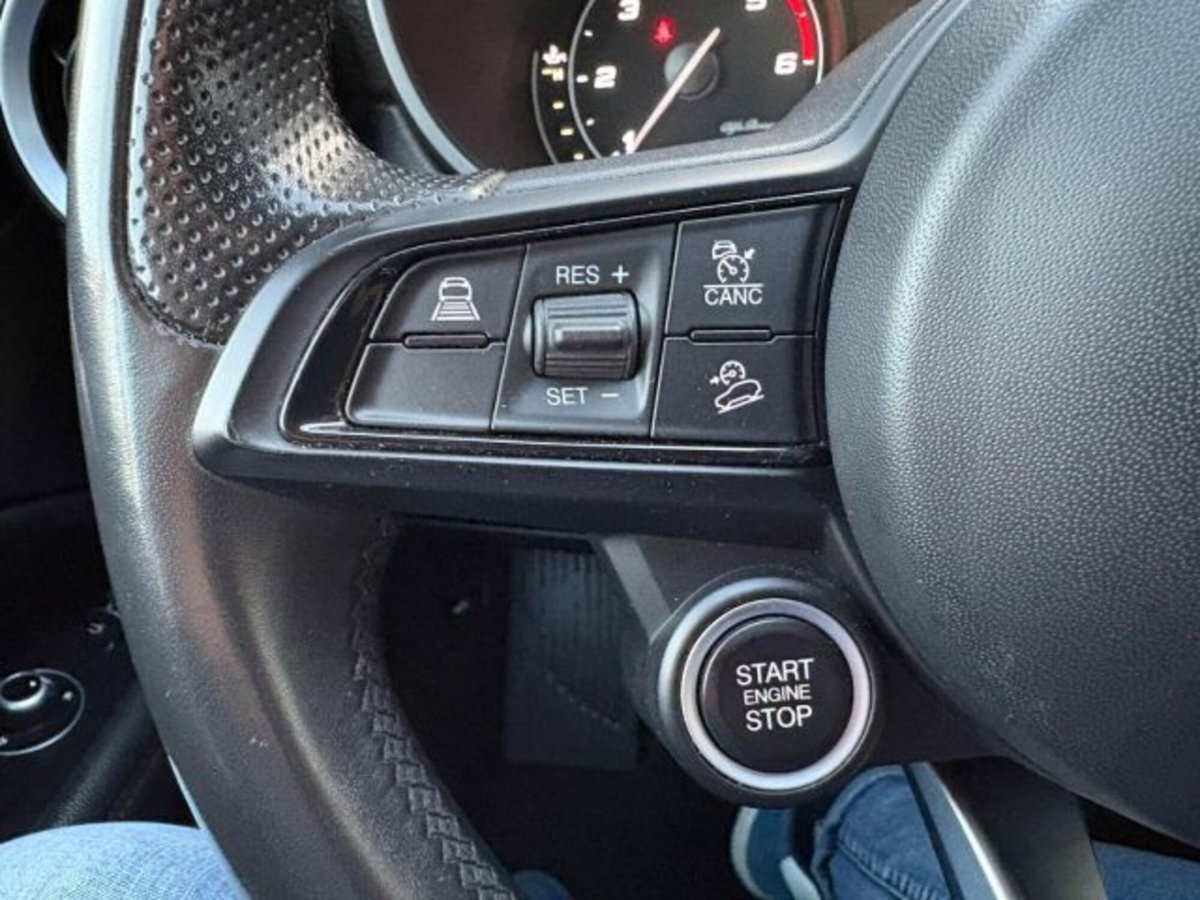 Alfa Romeo Stelvio Stelvio 2.2 Turbodiesel 160 CV AT8 RWD Sprint (15)