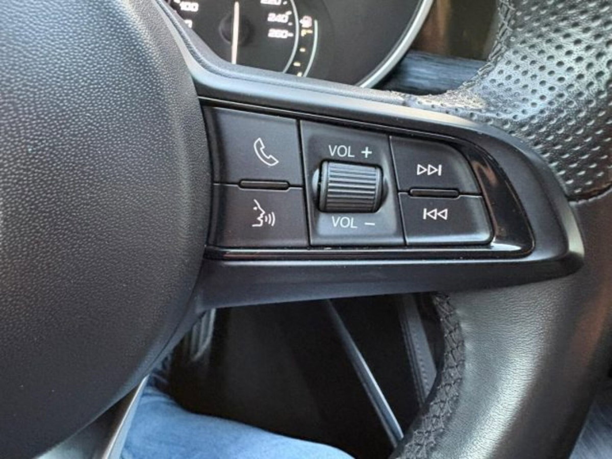 Alfa Romeo Stelvio Stelvio 2.2 Turbodiesel 160 CV AT8 RWD Sprint (16)