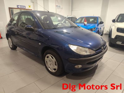 Peugeot 206 3p. XT usata