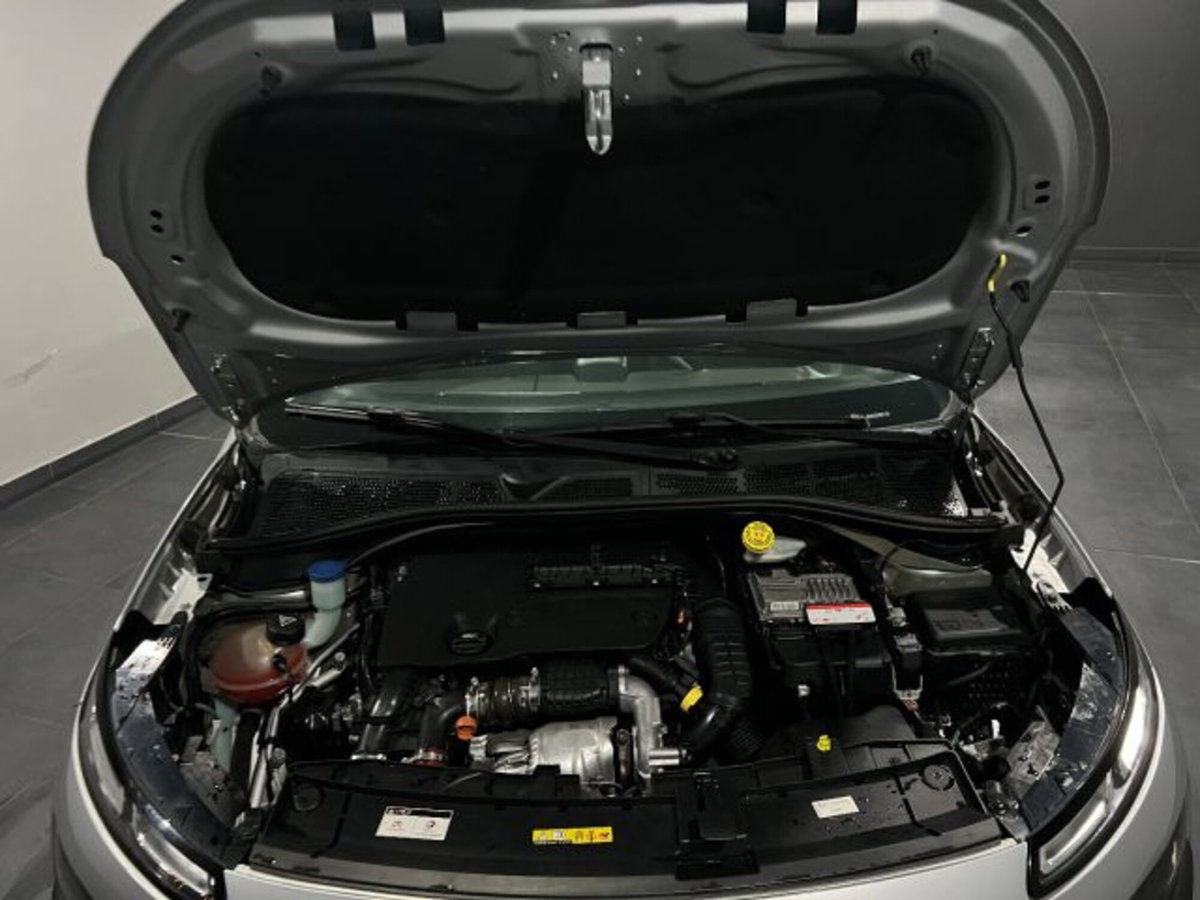 Citroen C4 Cactus BlueHDi 100 Shine (13)