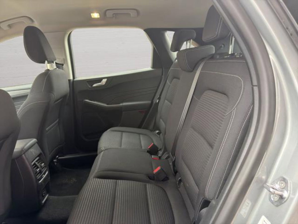 Ford Kuga 2.0 EcoBlue Hybrid 150 CV 2WD Titanium (7)