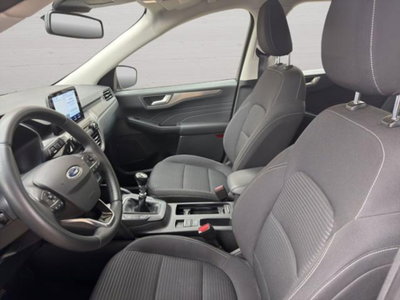 Ford Kuga 2.0 EcoBlue Hybrid 150 CV 2WD Titanium X (6)