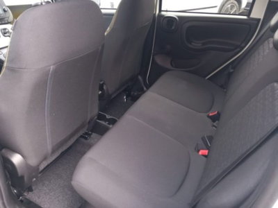Fiat Panda 1.0 firefly hybrid s&s 70cv 5p.ti (14)
