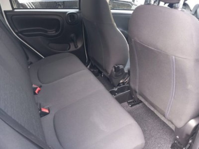 Fiat Panda 1.0 firefly hybrid s&s 70cv 5p.ti (15)