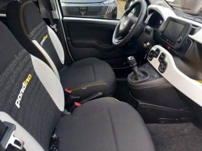 Fiat Panda 1.0 firefly hybrid s&s 70cv 5p.ti (16)