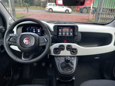 Fiat Panda 1.0 firefly hybrid s&s 70cv 5p.ti (18)