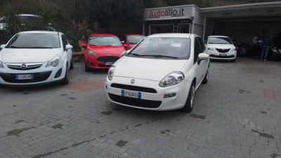 Fiat Punto 1.3 MJT II 75 CV 5 porte Street usata