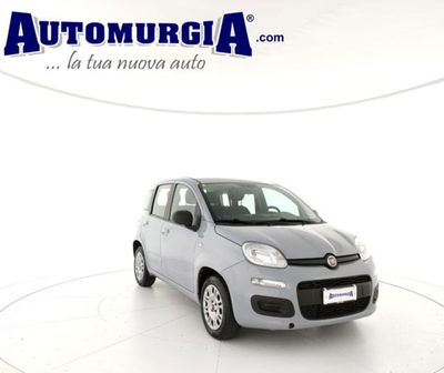 Fiat Panda 1.2 EasyPower Easy usata