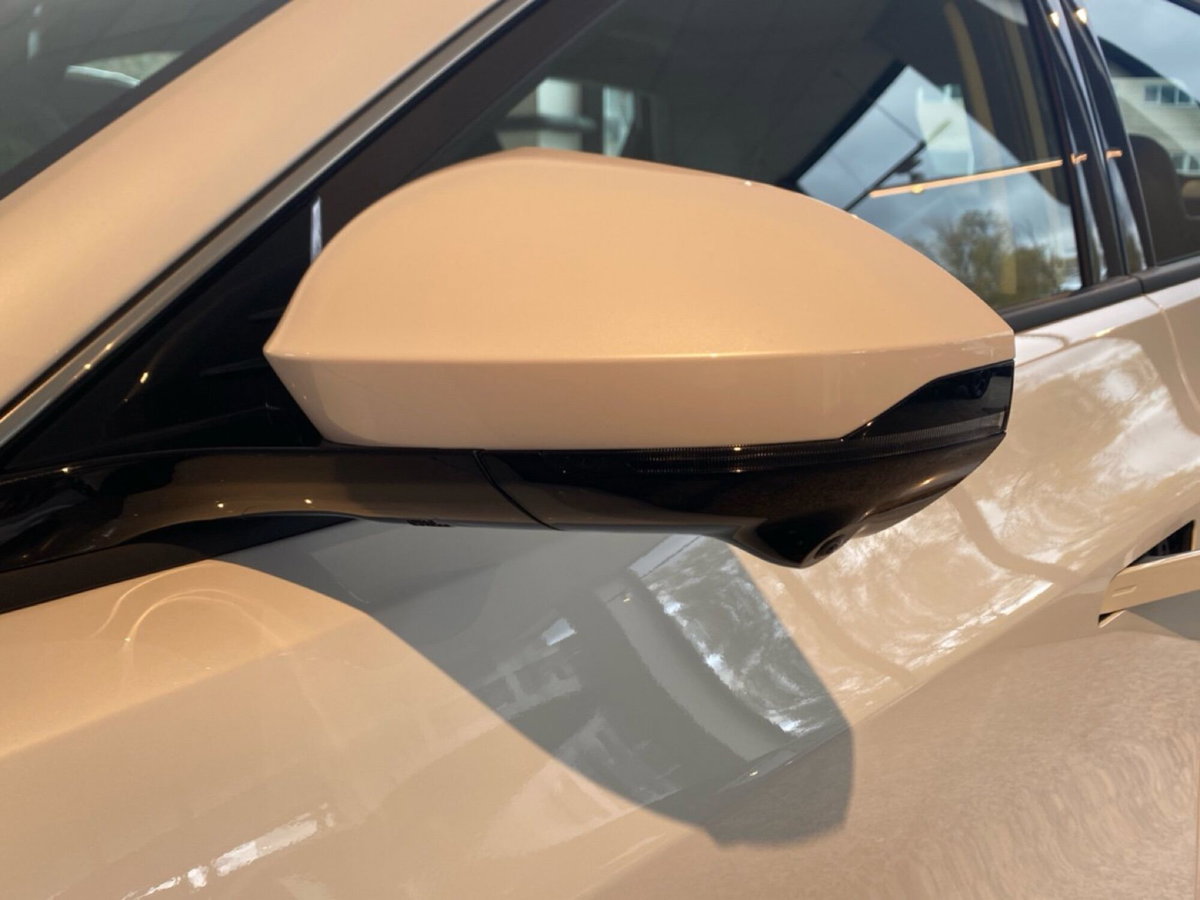 Dongfeng Mage  1.5 t E2 320T dct (12)