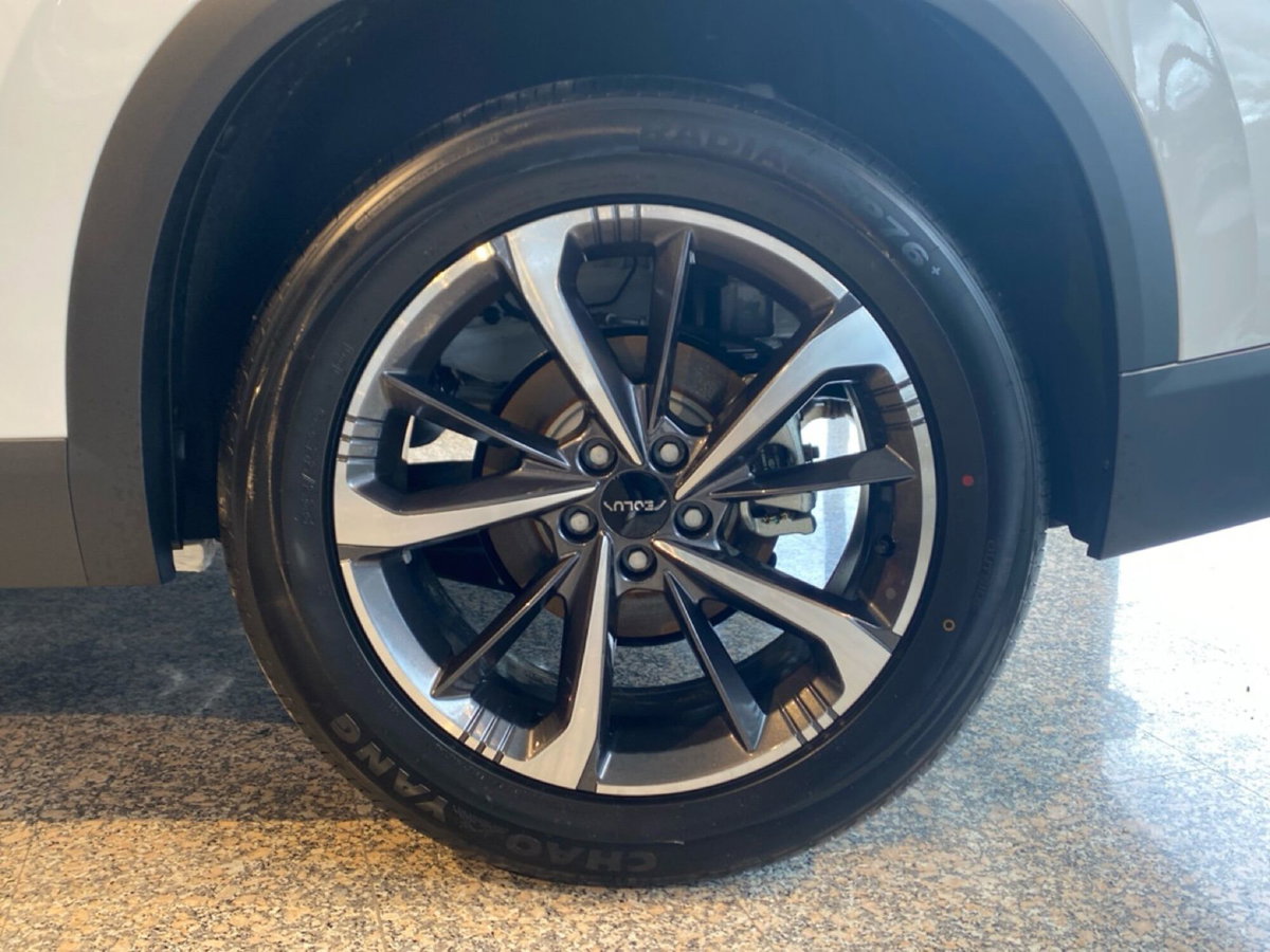 Dongfeng Mage  1.5 t E2 320T dct (15)