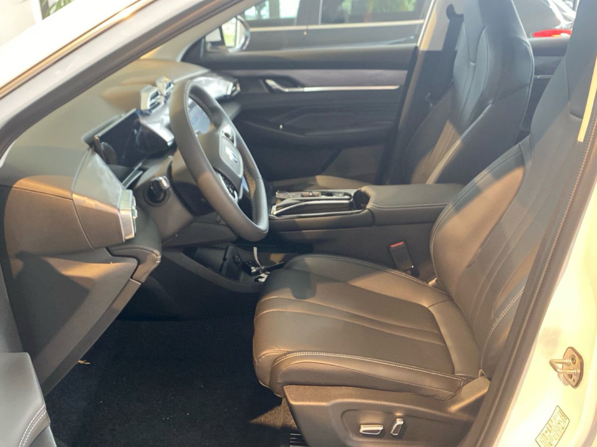 Dongfeng Mage  1.5 t E2 320T dct (17)