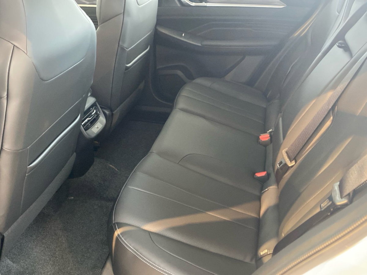 Dongfeng Mage  1.5 t E2 320T dct (19)