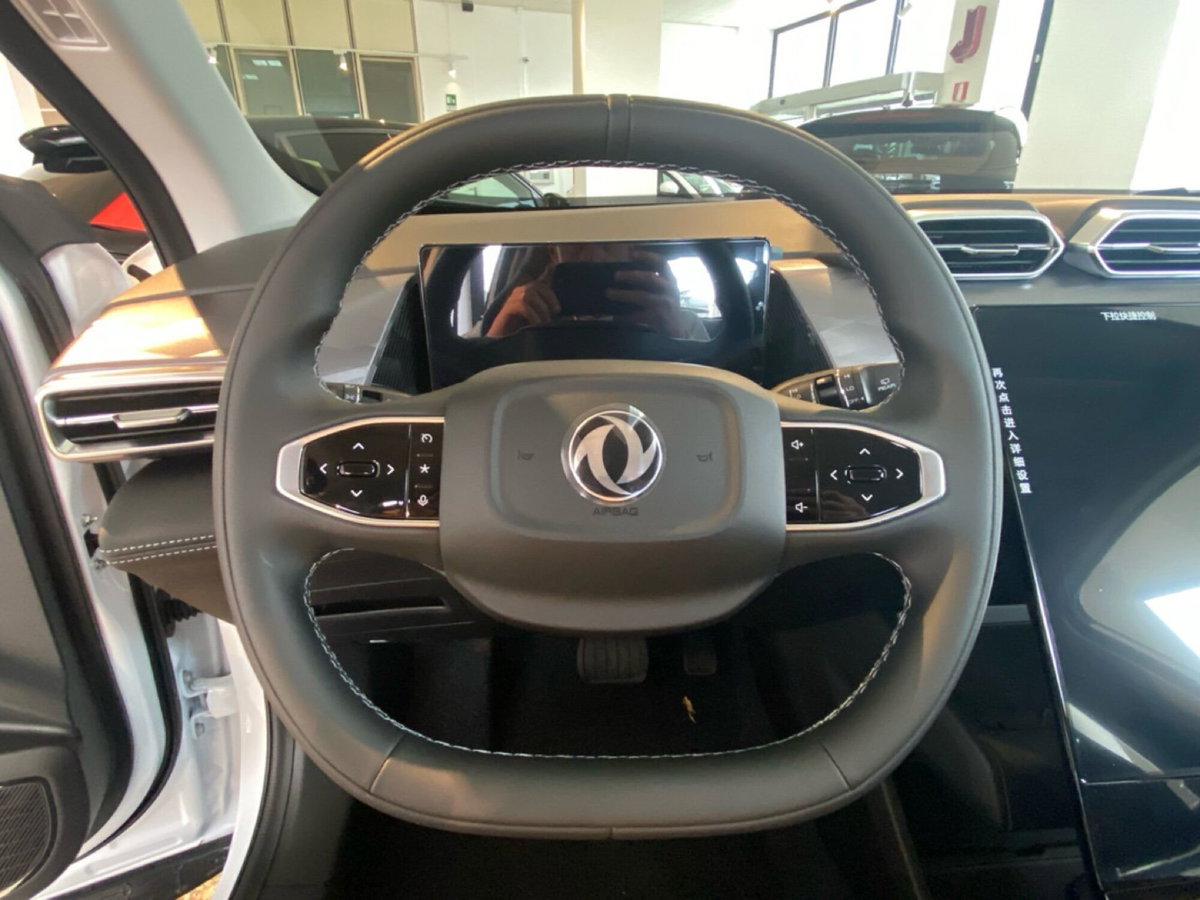 Dongfeng Mage  1.5 t E2 320T dct (20)