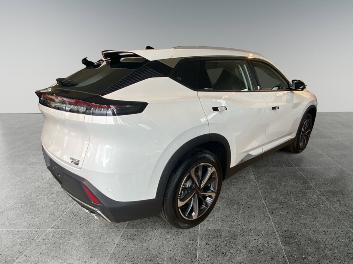 Dongfeng Mage  1.5 t E2 320T dct (6)