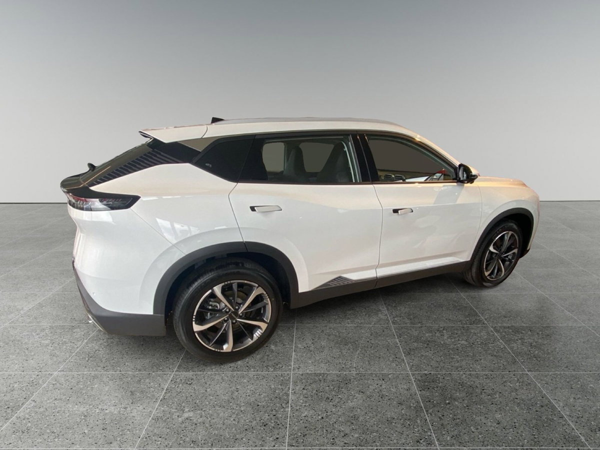Dongfeng Mage  1.5 t E2 320T dct (7)