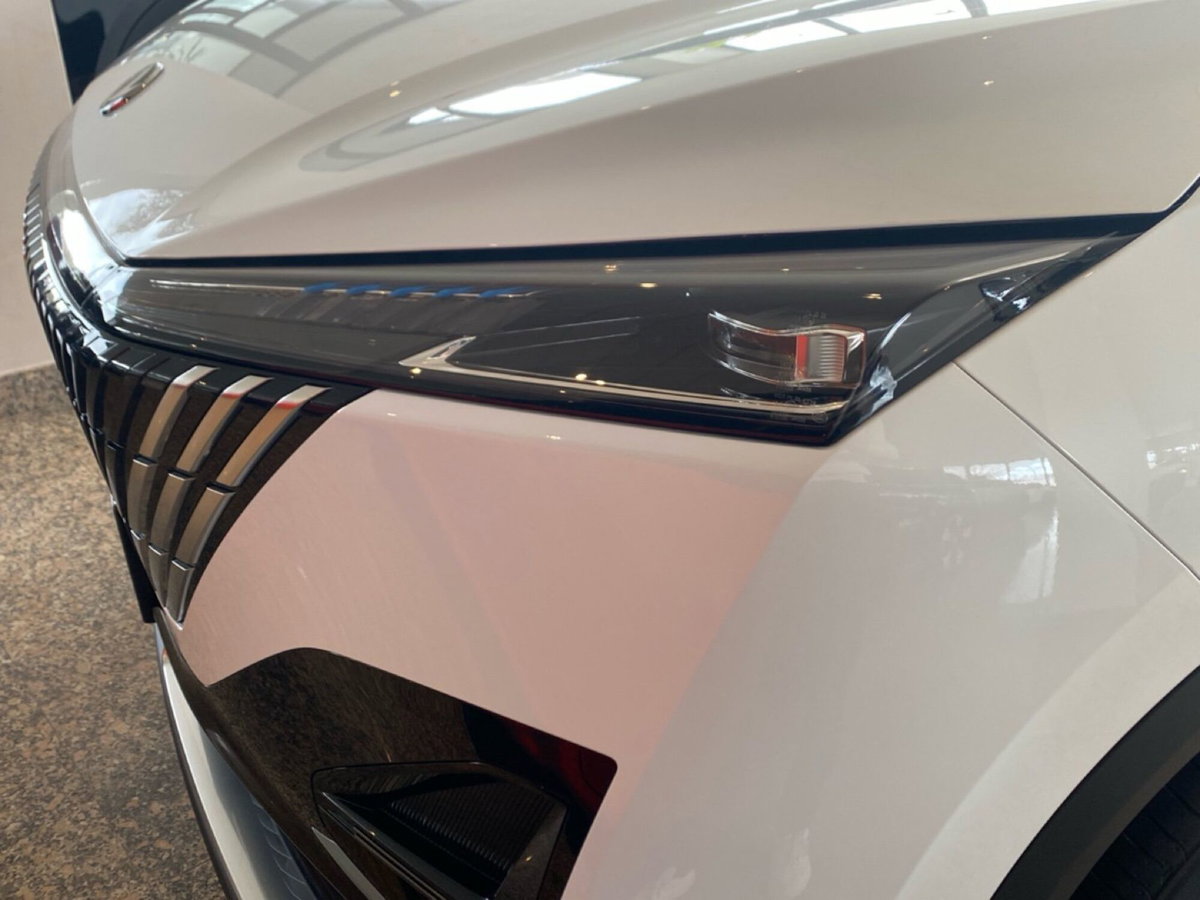 Dongfeng Mage  1.5 t E2 320T dct (9)