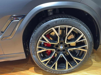 BMW X6 M (15)