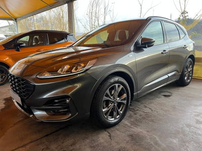 Ford Kuga 1.5 EcoBlue 120 CV 2WD ST-Line usata