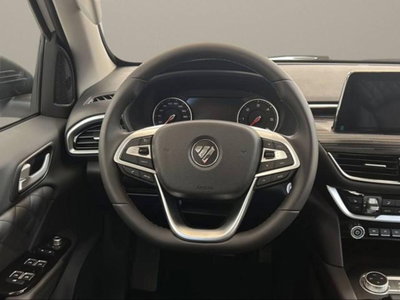 Foton Tunland Pick-up Tunland G7 2.0 tdi double cab auto (16)