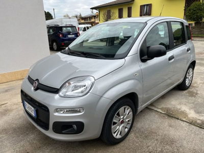 Fiat Panda 1.2 Easy usata