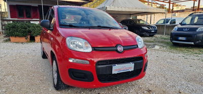 Fiat Panda 1.2 Easy usata