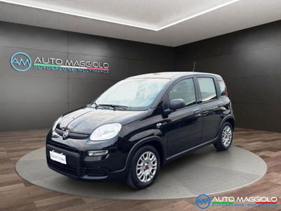 Fiat Panda 1.0 firefly hybrid s&s 70cv 5p.ti usata
