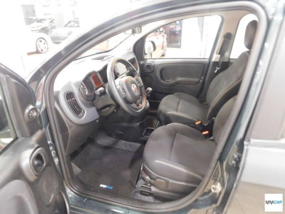 Fiat Panda 1.0 FireFly S&S Hybrid City Cross (10)
