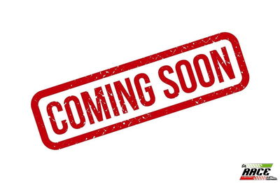 Piaggio Porter Telaio 1.3 Cassonato Eco-Power Maxxi Ext nuova