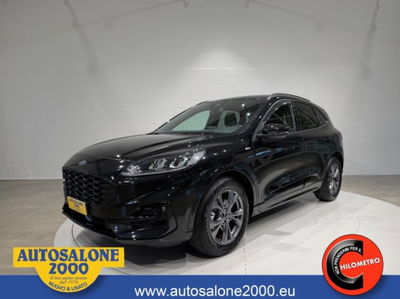 Ford Kuga 1.5 EcoBlue 120 CV 2WD ST-Line usata