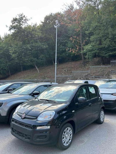 Fiat Panda 1.0 firefly hybrid s&s 70cv 5p.ti nuova