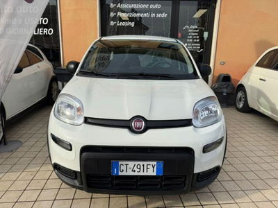 Fiat Panda 1.0 firefly hybrid s&s 70cv 5p.ti usata