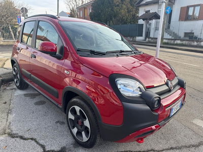 Fiat Panda 1.0 FireFly S&S Hybrid City Cross usata