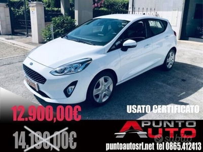 Ford Fiesta 1.5 EcoBlue 5 porte Business High usata