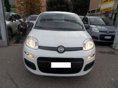 Fiat Panda 1.2 Pop usata