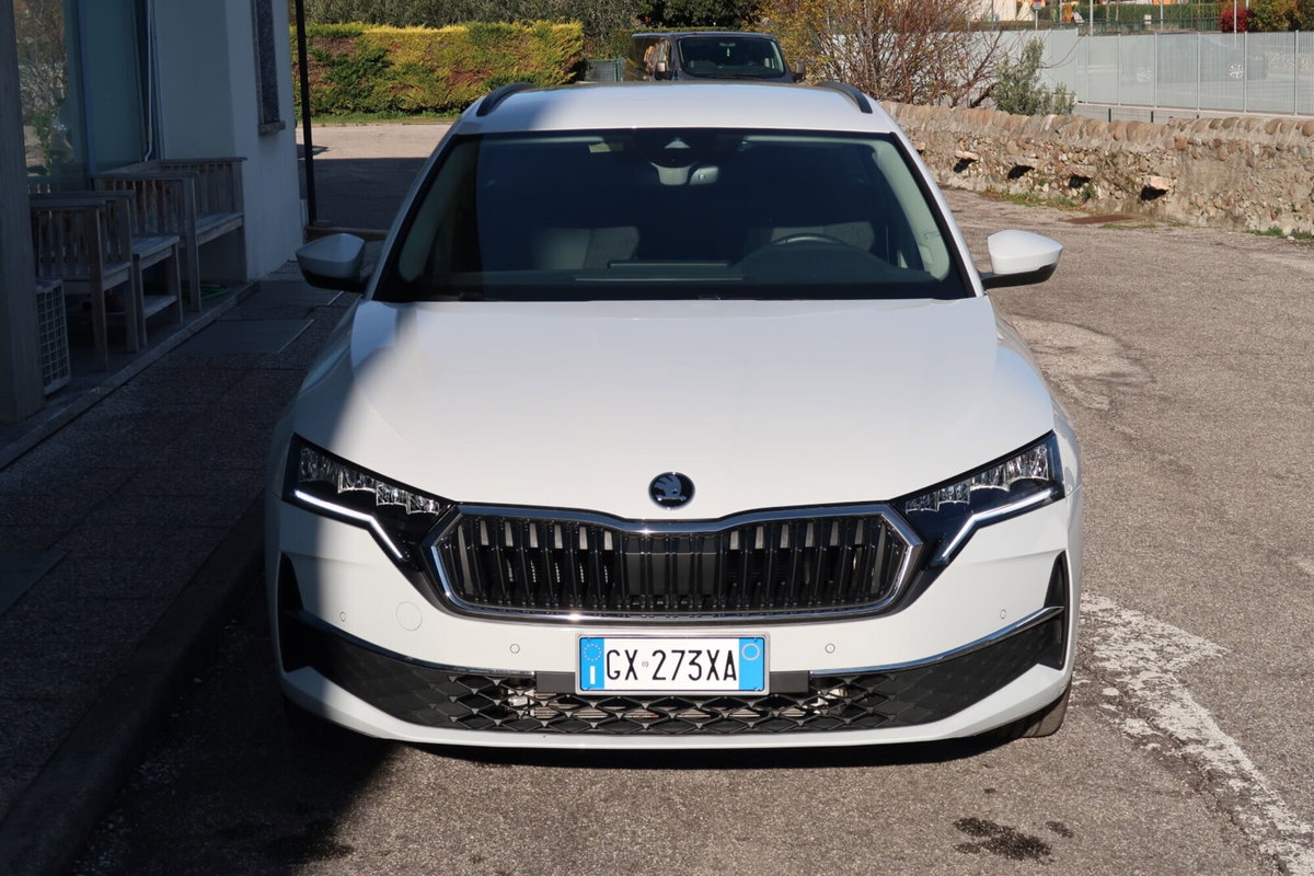 Skoda Octavia Station Wagon 2.0 tdi Selection 150cv dsg (3)