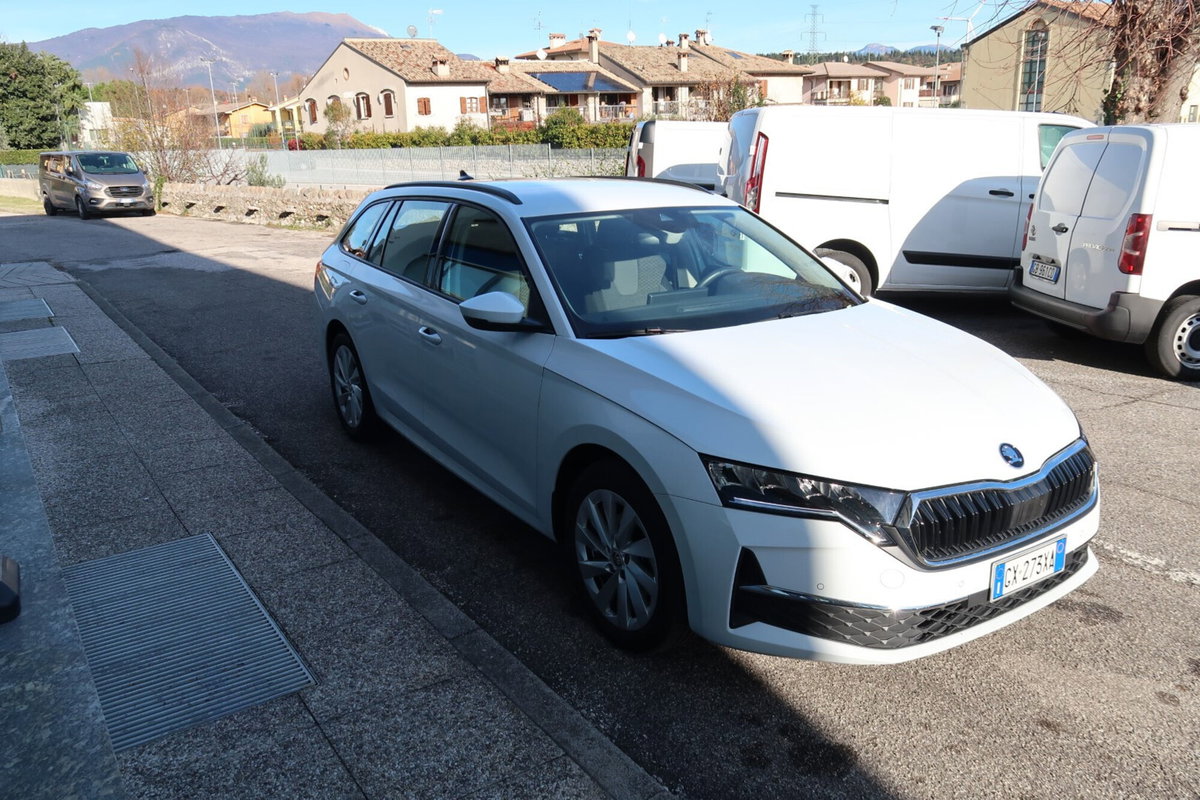 Skoda Octavia Station Wagon 2.0 tdi Selection 150cv dsg (2)