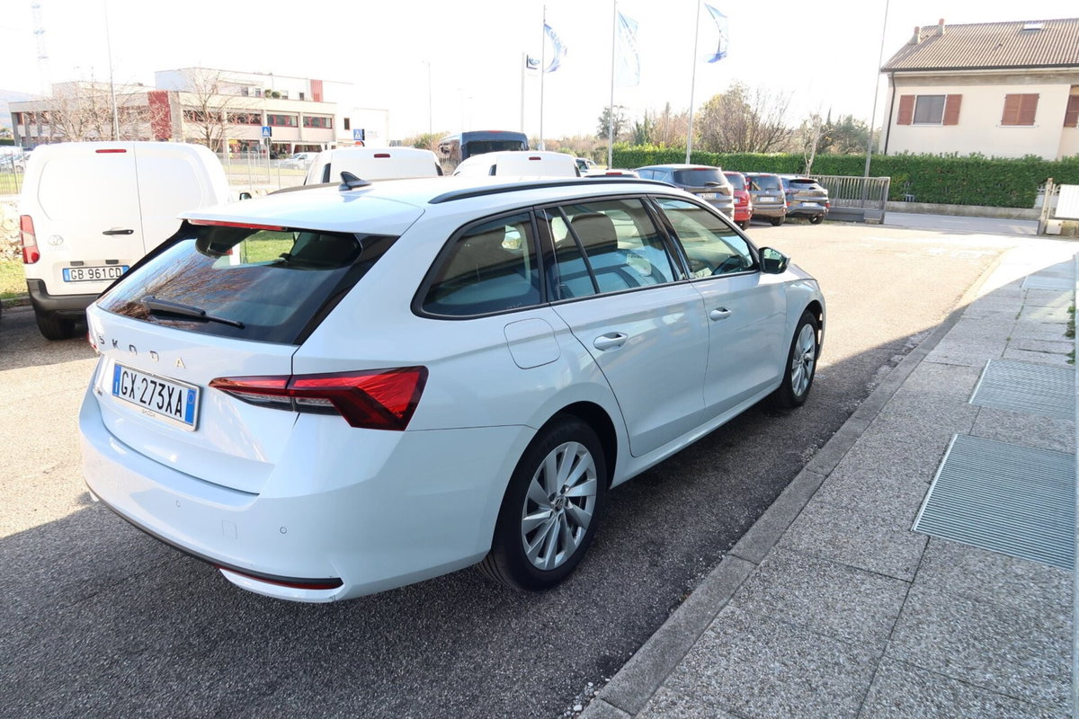 Skoda Octavia Station Wagon 2.0 tdi Selection 150cv dsg (5)