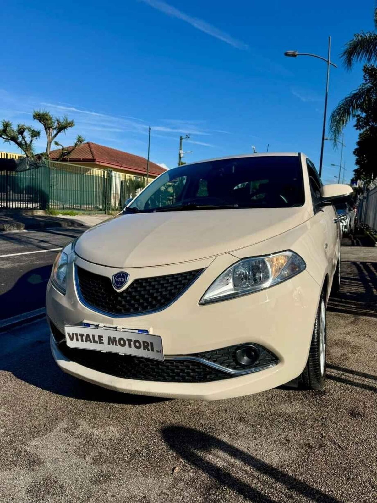 Lancia Ypsilon 1.2 69 CV 5 porte GPL Ecochic Gold (4)