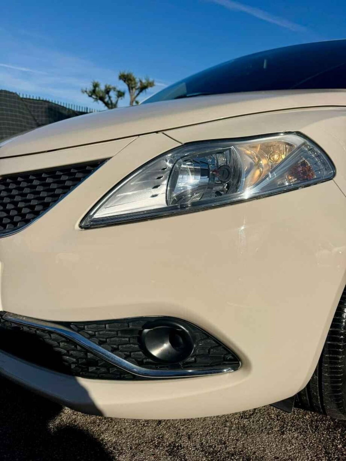 Lancia Ypsilon 1.2 69 CV 5 porte GPL Ecochic Gold (5)