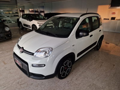 Fiat Panda 1.0 FireFly S&S Hybrid City Life usata