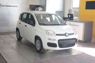 Fiat Panda 1.2 Dynamic Euro 5 usata