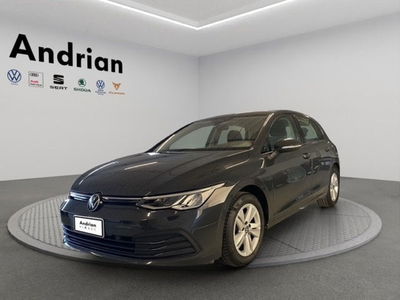 Volkswagen Golf 1.0 TSI EVO Life usata